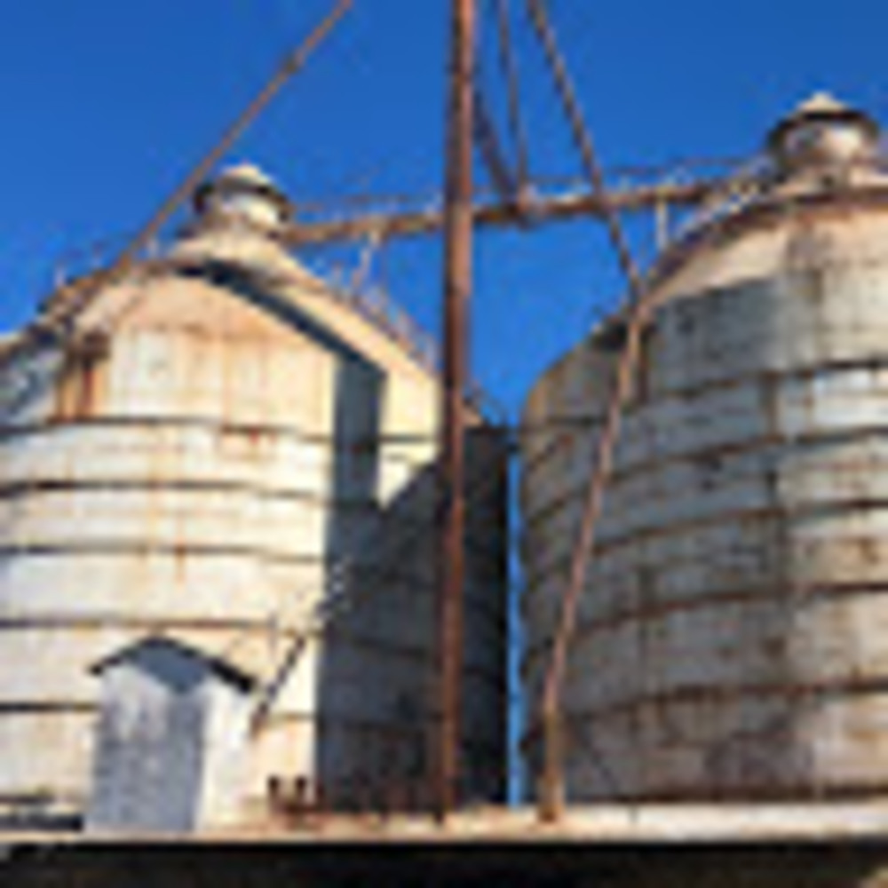 Meet your Posher, Tristan